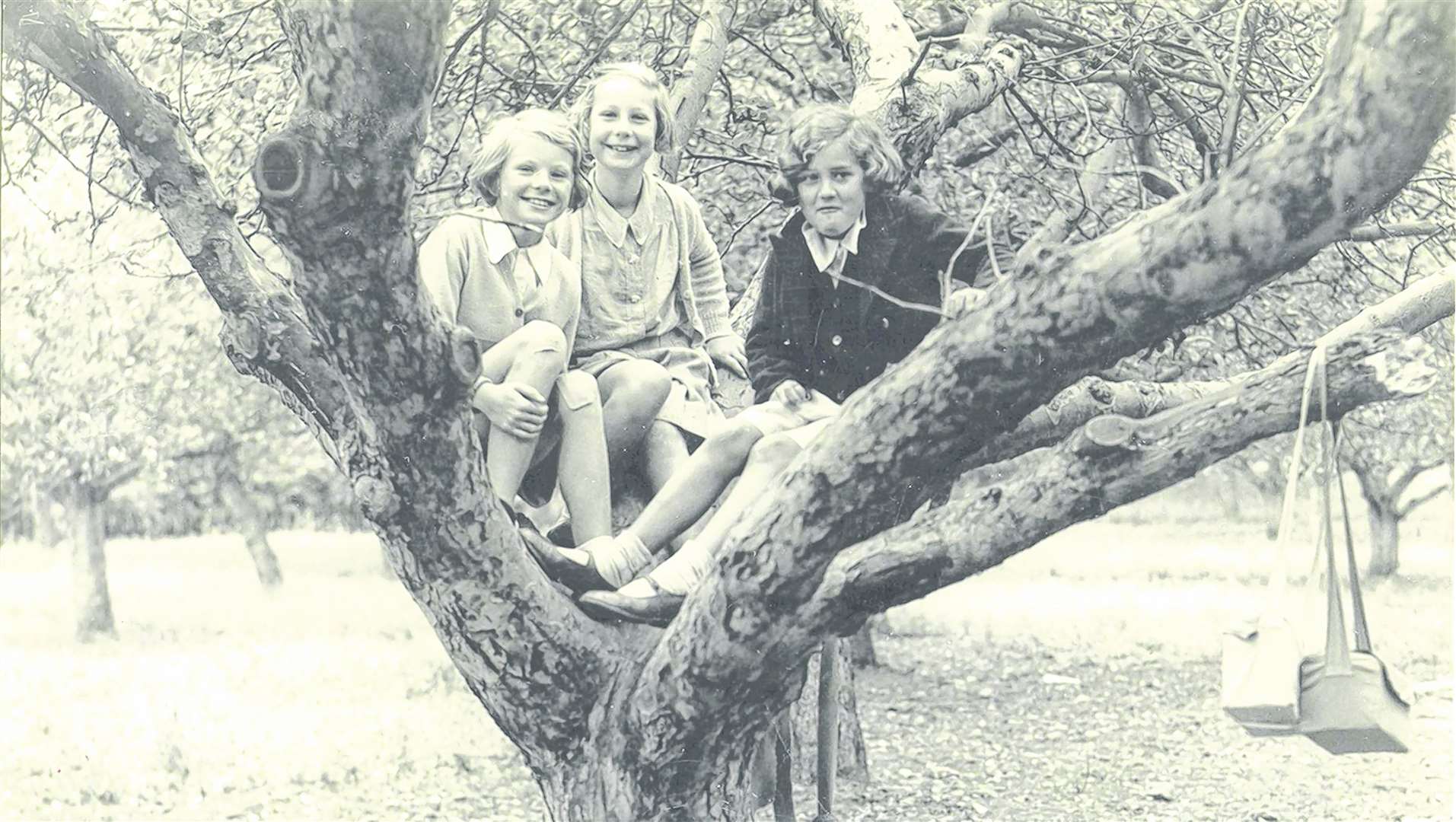 These young ladies from Maidstone Grammar School for Girls enjoyed climbing trees, but remembered to keep their gas-masks handy
