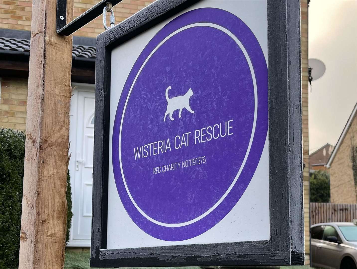 Wisteria Cat Rescue moved from Chatham to Rochester