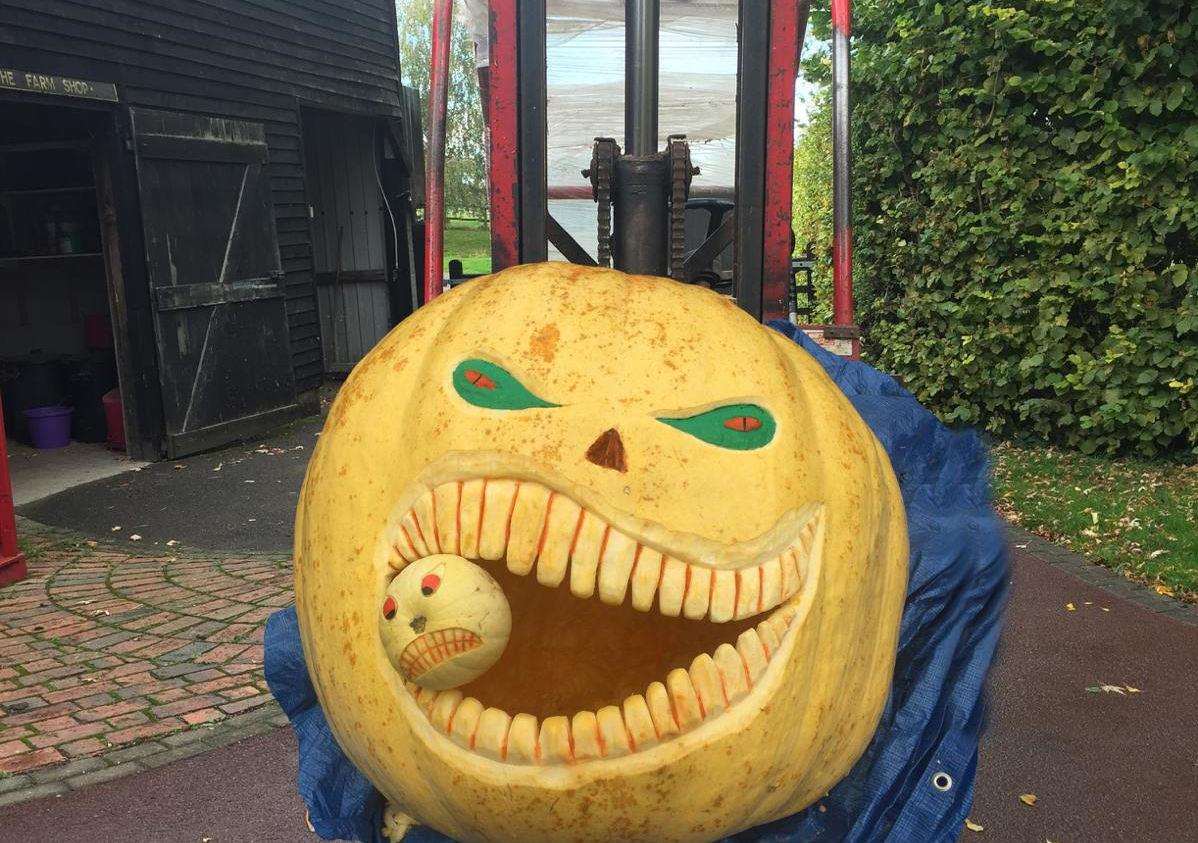 The huge pumpkin needed to be carried with a forklift