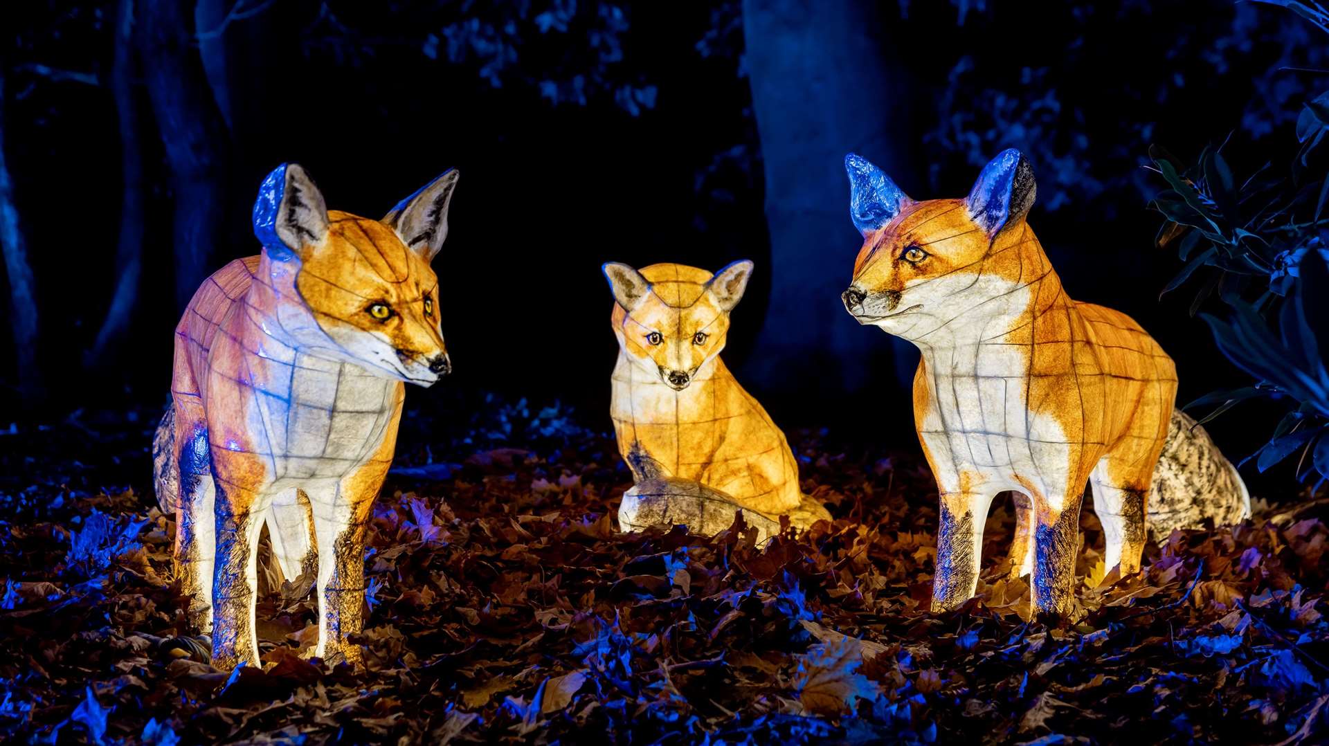 Illuminated animals featured at a previous event in Wollaton