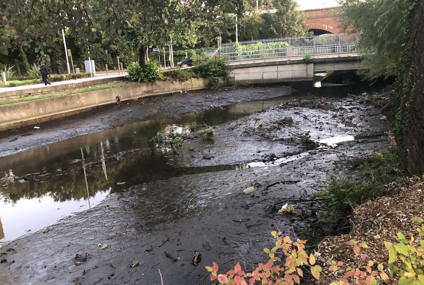 Environmental officers were called out to the River Darent