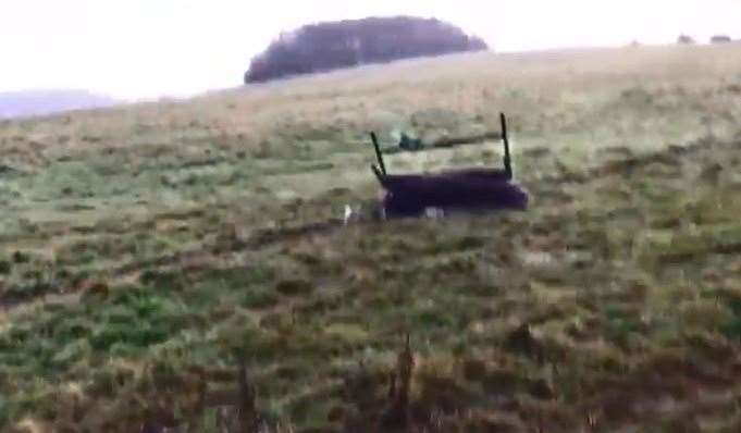 The deer at Tolsford Hill was partly obscured by a road sign