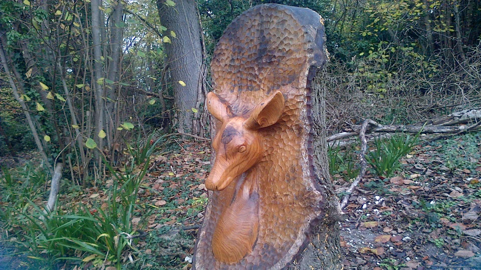 The deer sculpture was one of three installed at the nature reserve