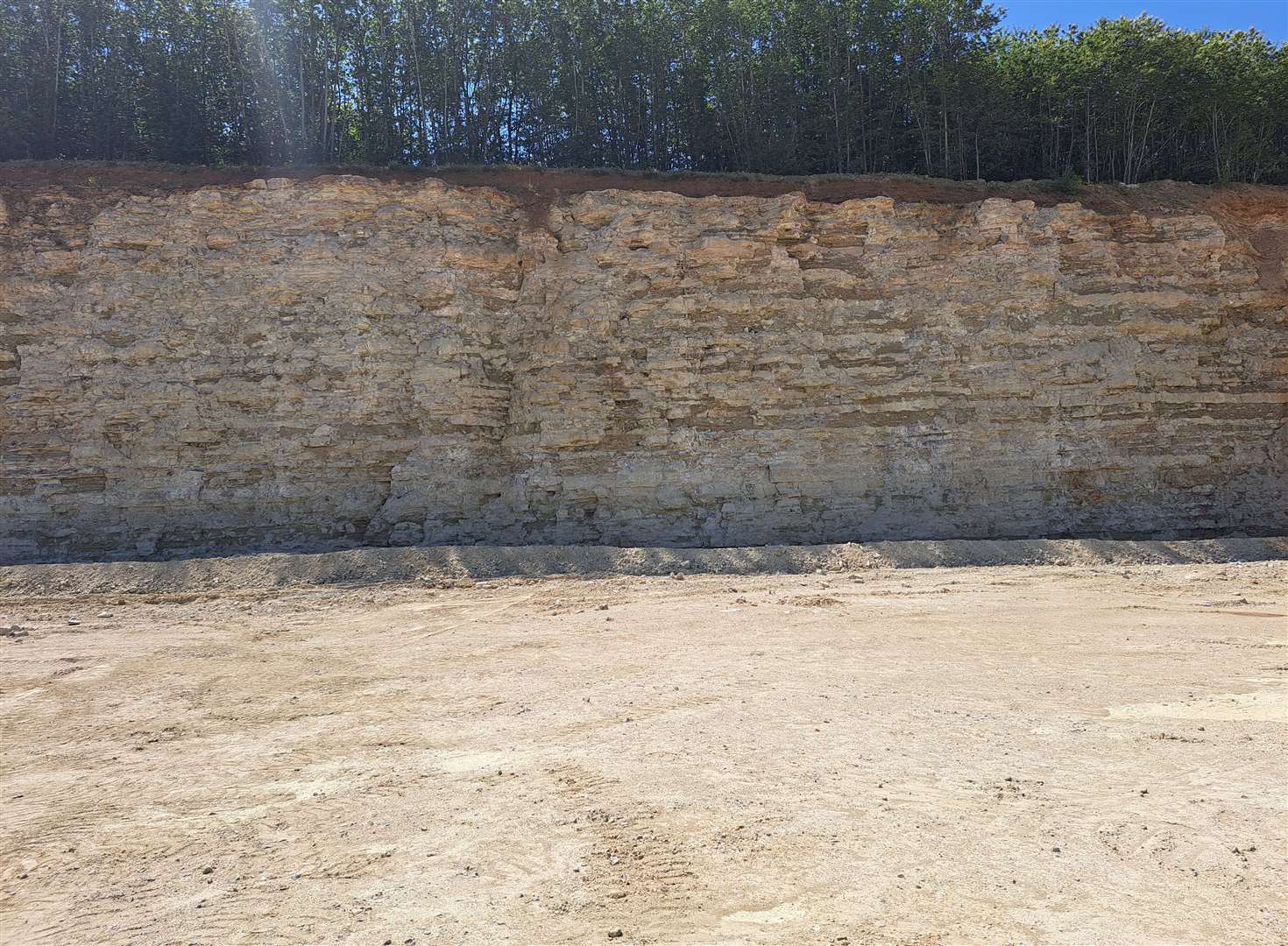 The edge of the current quarry void, with the ancient woodland above