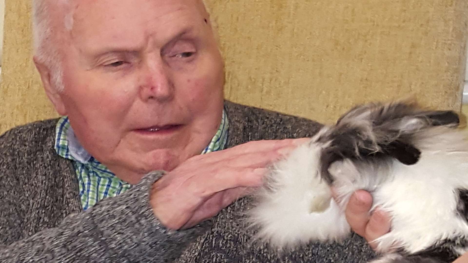 Frank Kelly, 88, says hello to a rabbit
