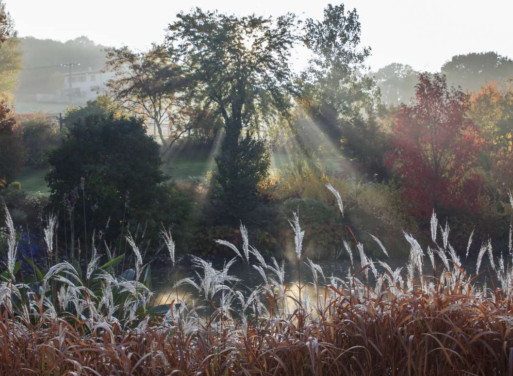 Magic Moment by Rosanna Castrini, one of the images to go on display at Sissinghurst Castle Garden
