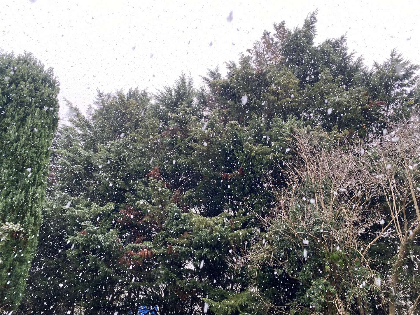 Snow falling between Sittingbourne and Faversham