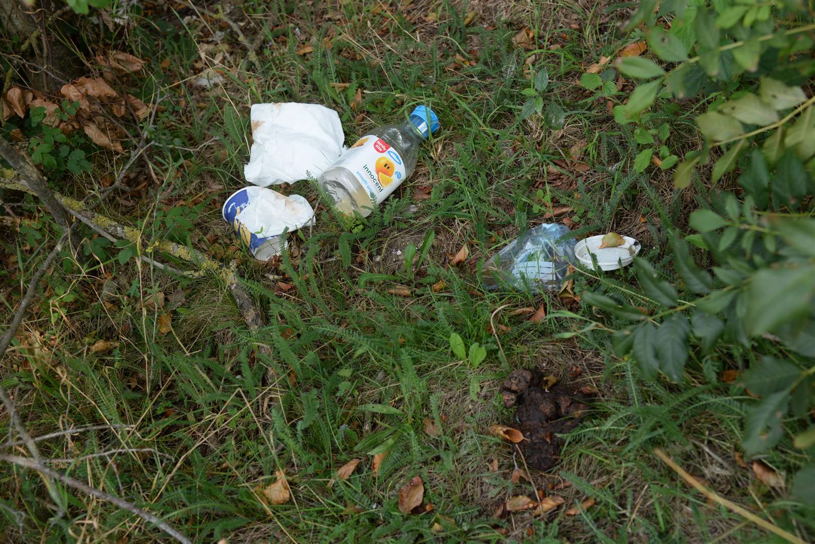 Litter and excrement in the verges and layby