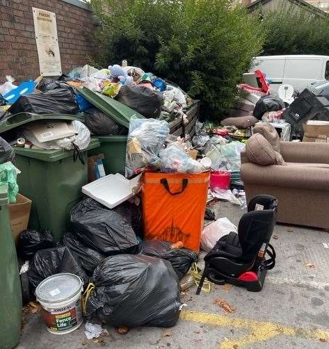 How the bins often look. Picture: James Morris