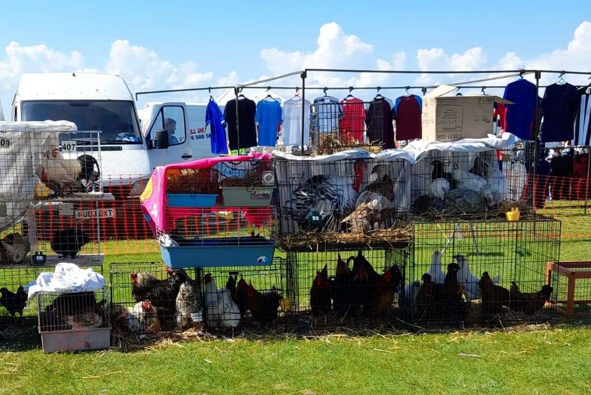 Animal cages at the poultry tabletop sale next to Leysdown boot fair. Picture: Faye Grant
