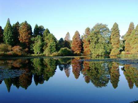 Picture: Peter d`Aguilar, Bedgebury National Pinetum &amp; Forest
