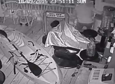 CCTV shows moment thieves steal from charity box at barber's