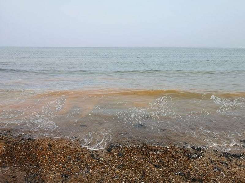 The orange substance has been spotted on several coastlines. Picture: Rebecca Douglas (9584681)