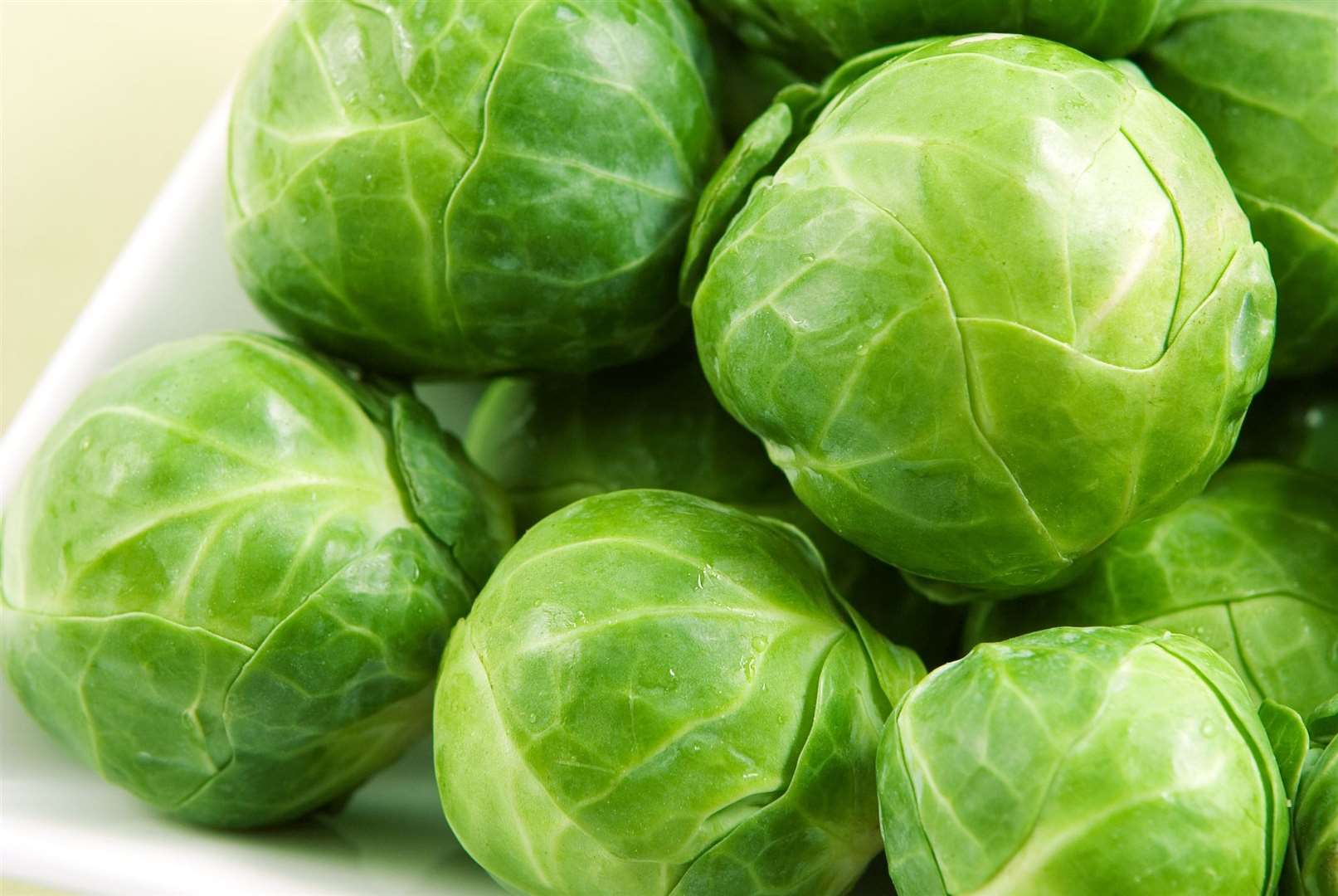 Love them or hate them; the Brussel sprout is the Marmite of the veg world