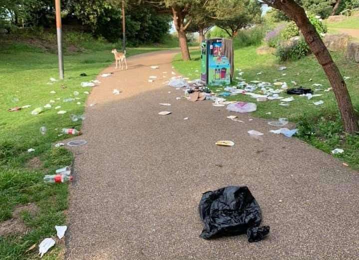 The rubbish at Folkestone Coastal Park on Monday morning (12950410)