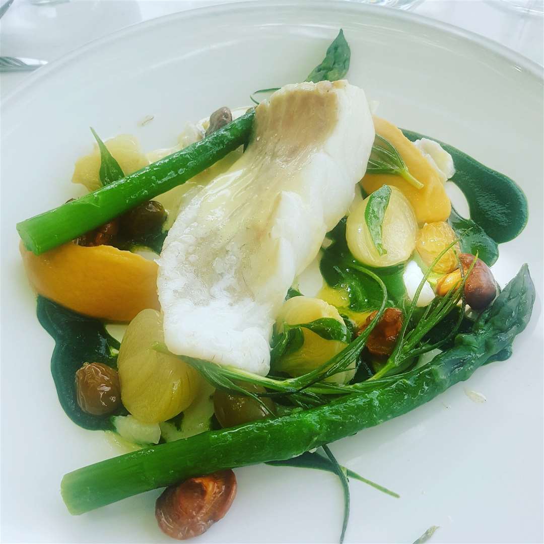 Turbot with asparagus (2670213)