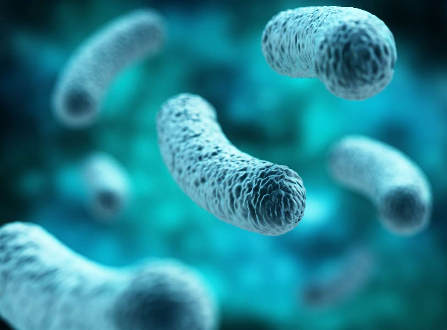 Food poisoning can prove dangerous to the very young, elderly and those with weakened immune systems. Image: Stock photo.