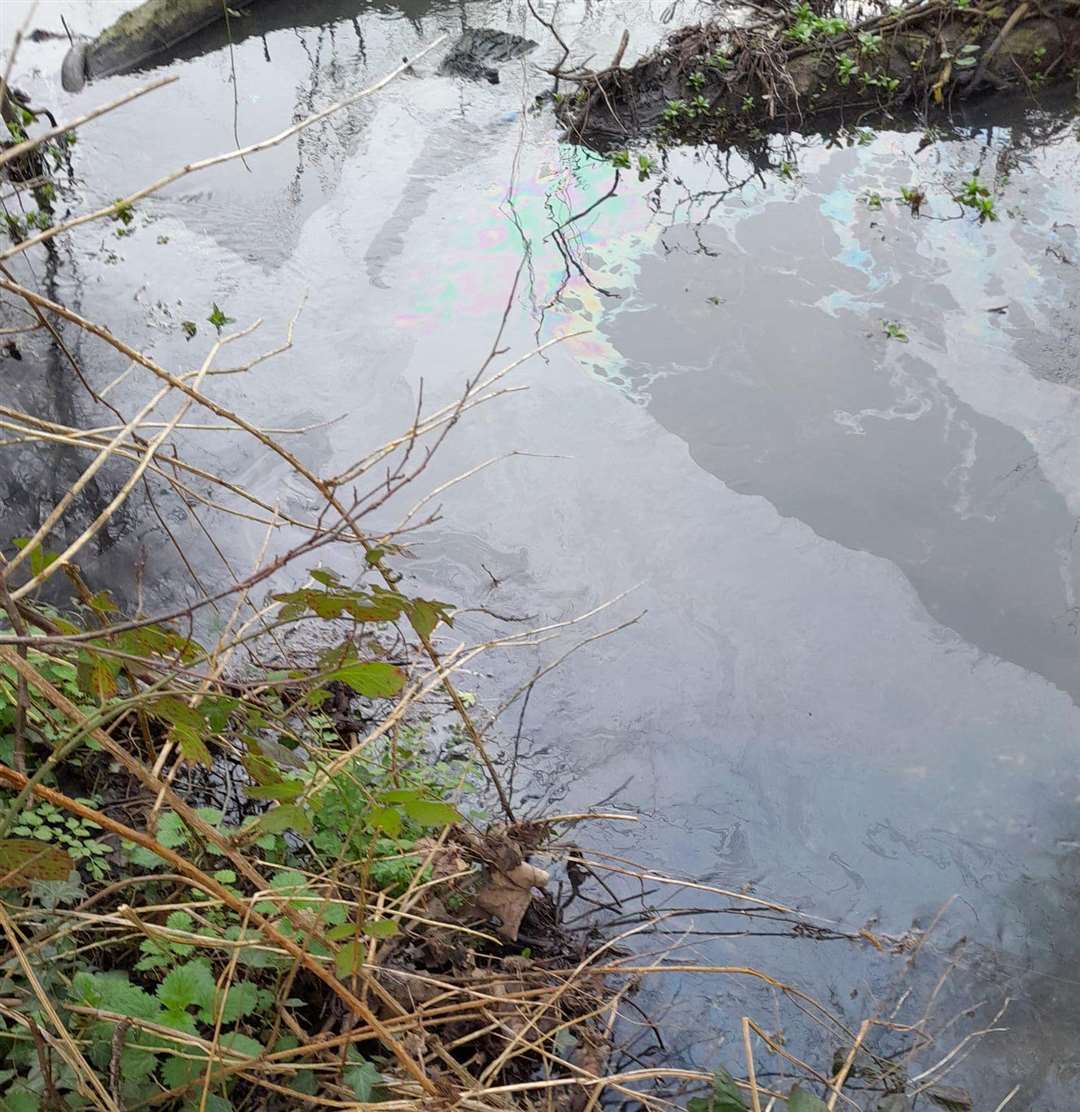 The oil spill in the Great River Stour in Chartham. Picture: Julie Johnson