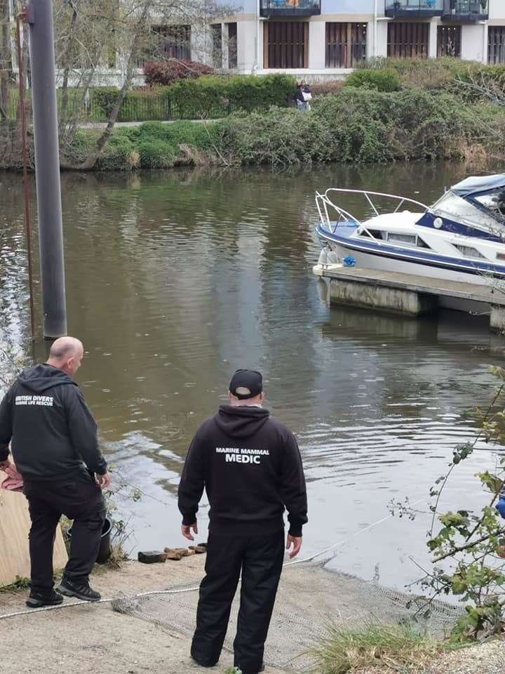 Volunteers from British Divers Marine Life Rescue at the River Medway in Maidstone. Picture Marica Brunger