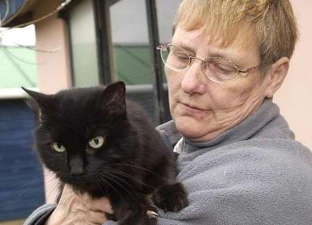 Sooty just wants a lap to sit on. Picture: BARRY CRAYFORD