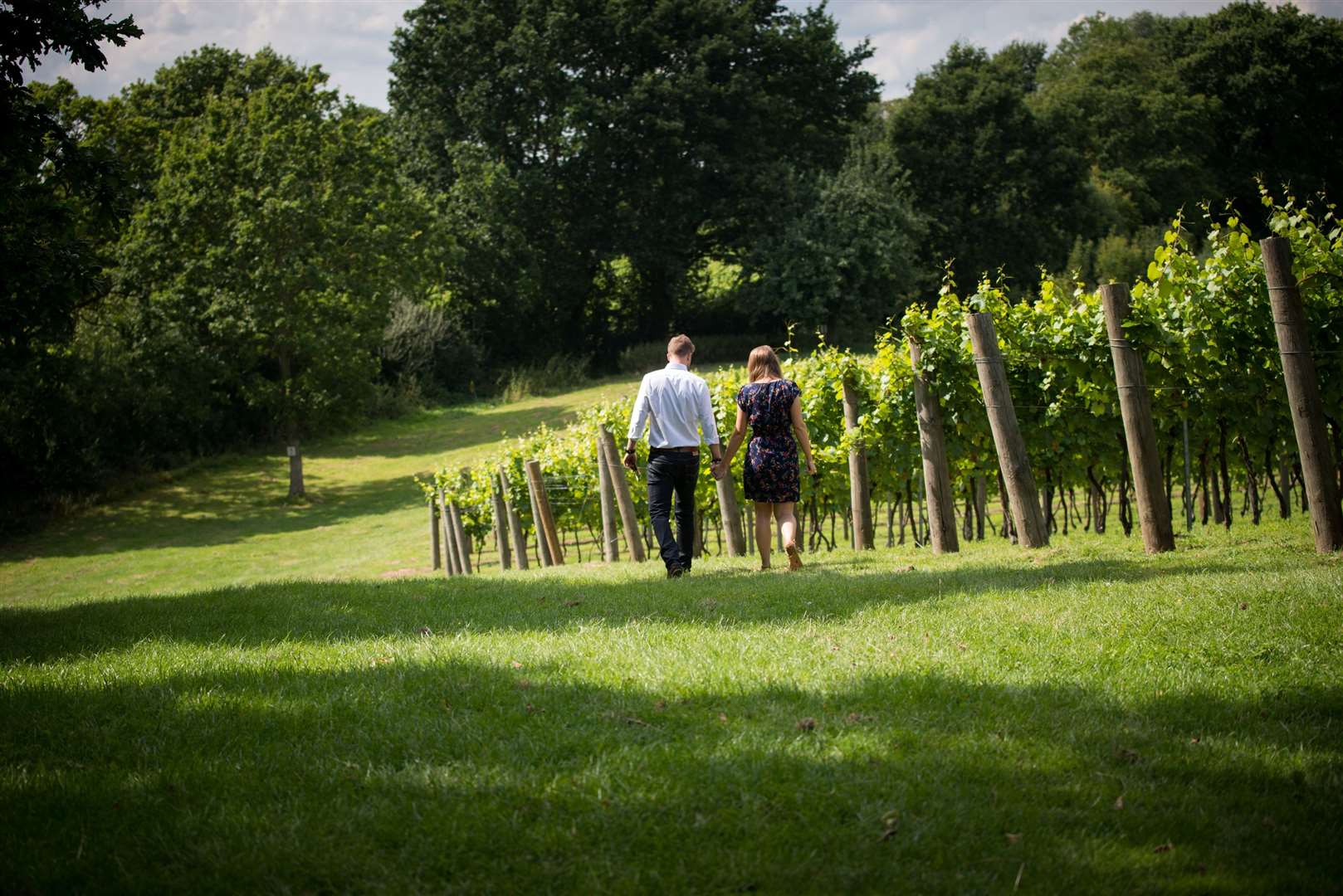 Chapel Down is now one of England's leading wine producers