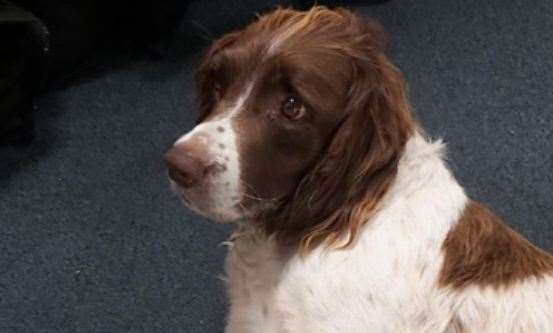 Her spaniel was found running on the beach in Minnis Bay. Picture: Kent Police