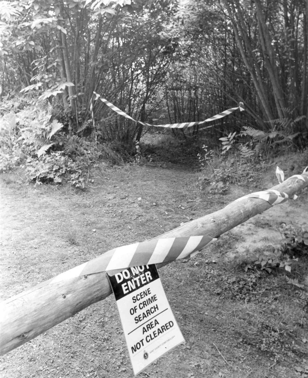 A photo from the murder scene in Bedgebury Forest. Stock picture