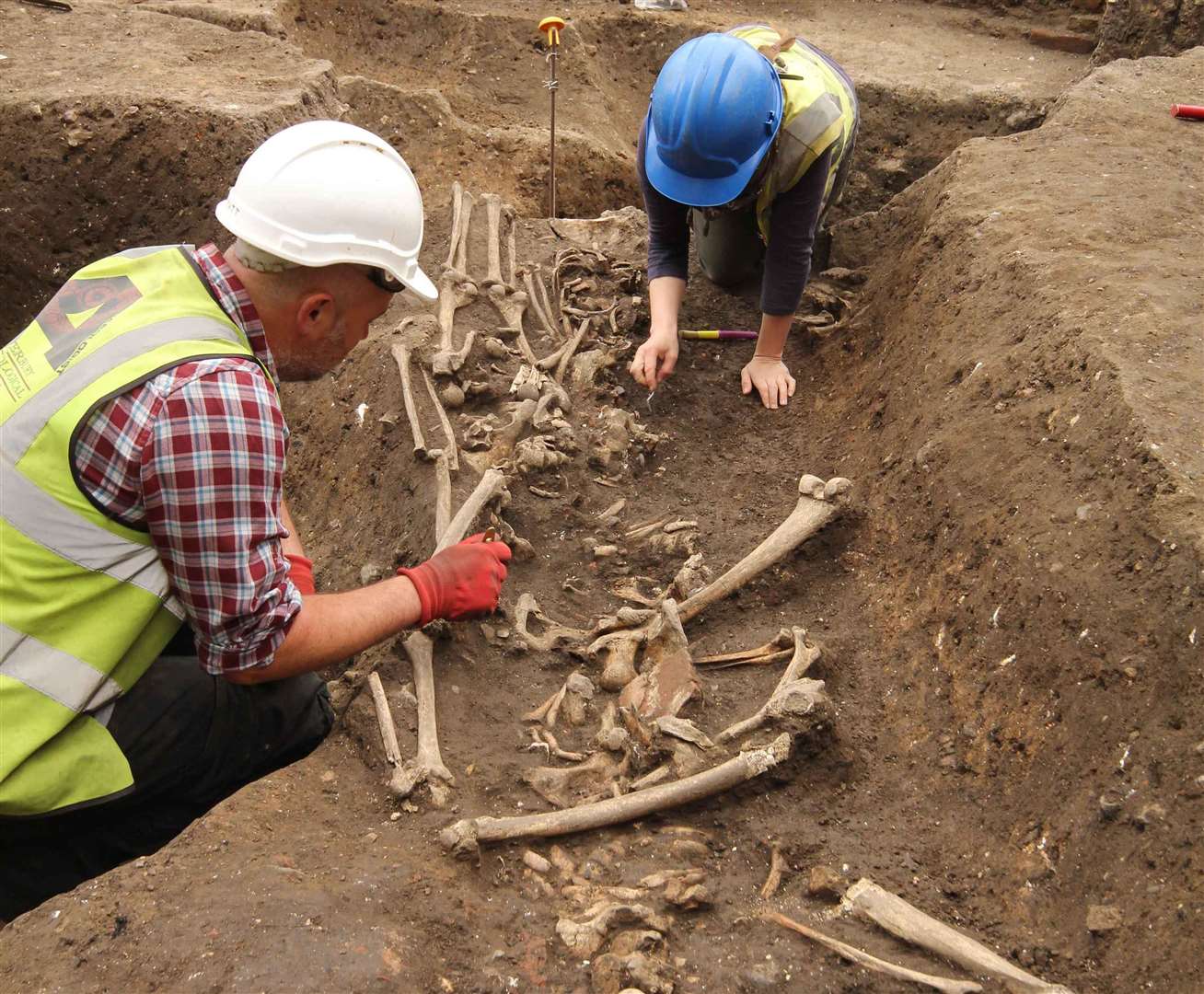 Several Roman or late Saxon skeletons were discovered (3118419)