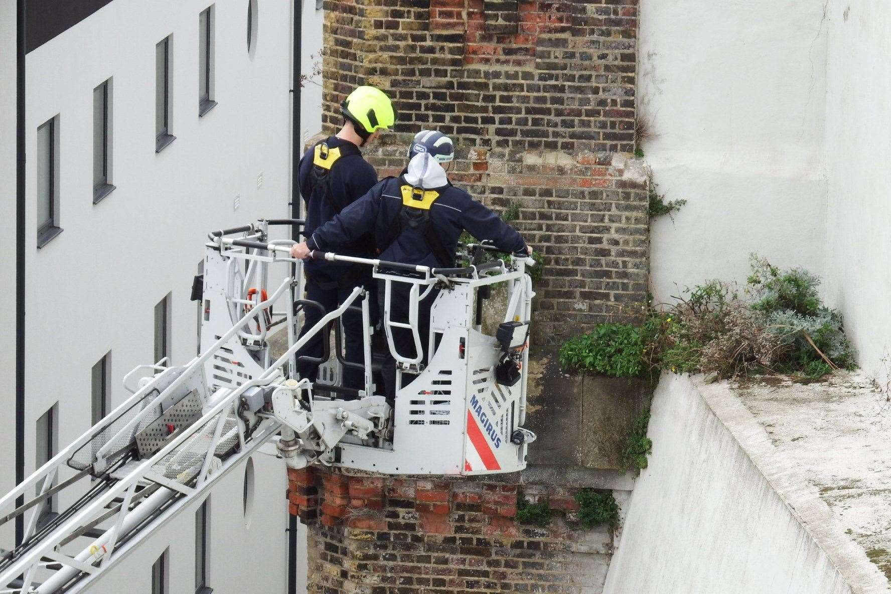 Firefighters attempt to reach the cat. Picture: Mike Pett