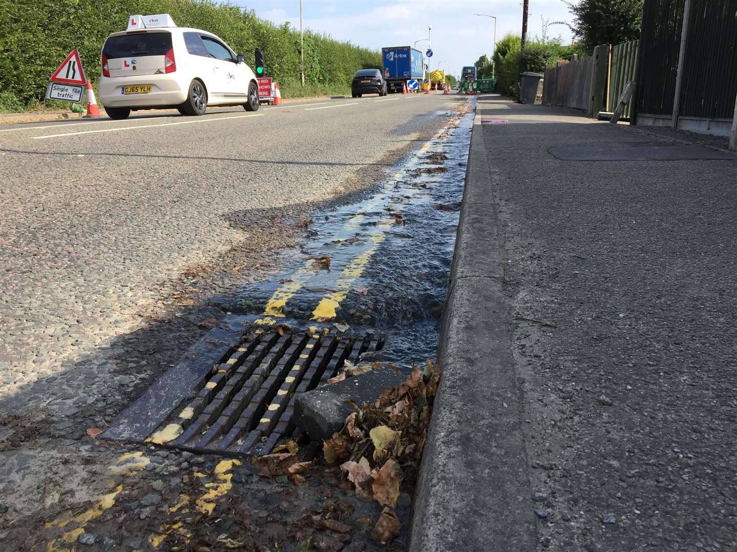 The water leak in New Dover Road was reported last week but has remained unfixed
