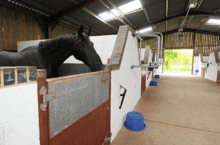 Eyehorn Farm will host the Russian Olympic equestrian team ahead of London 2012