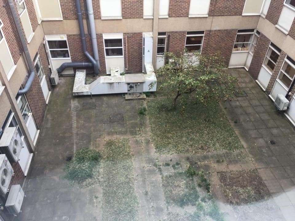 The courtyard was originally overgrown and unused