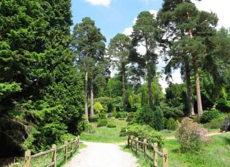 Bedgebury National Pinetum & Forest at Goudhurst won the first ever Sports Tourism Award