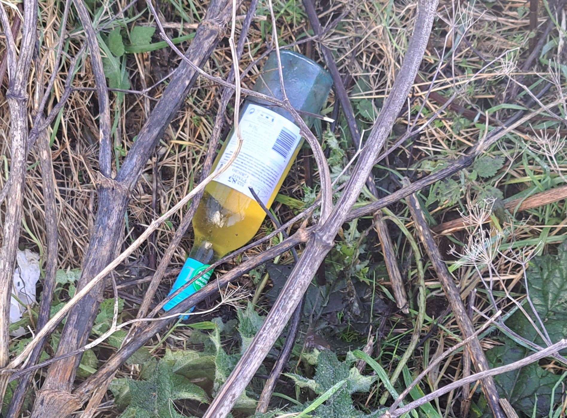Litter, including bottles filled with yellow liquid, found on verges along the A20 in Dover
