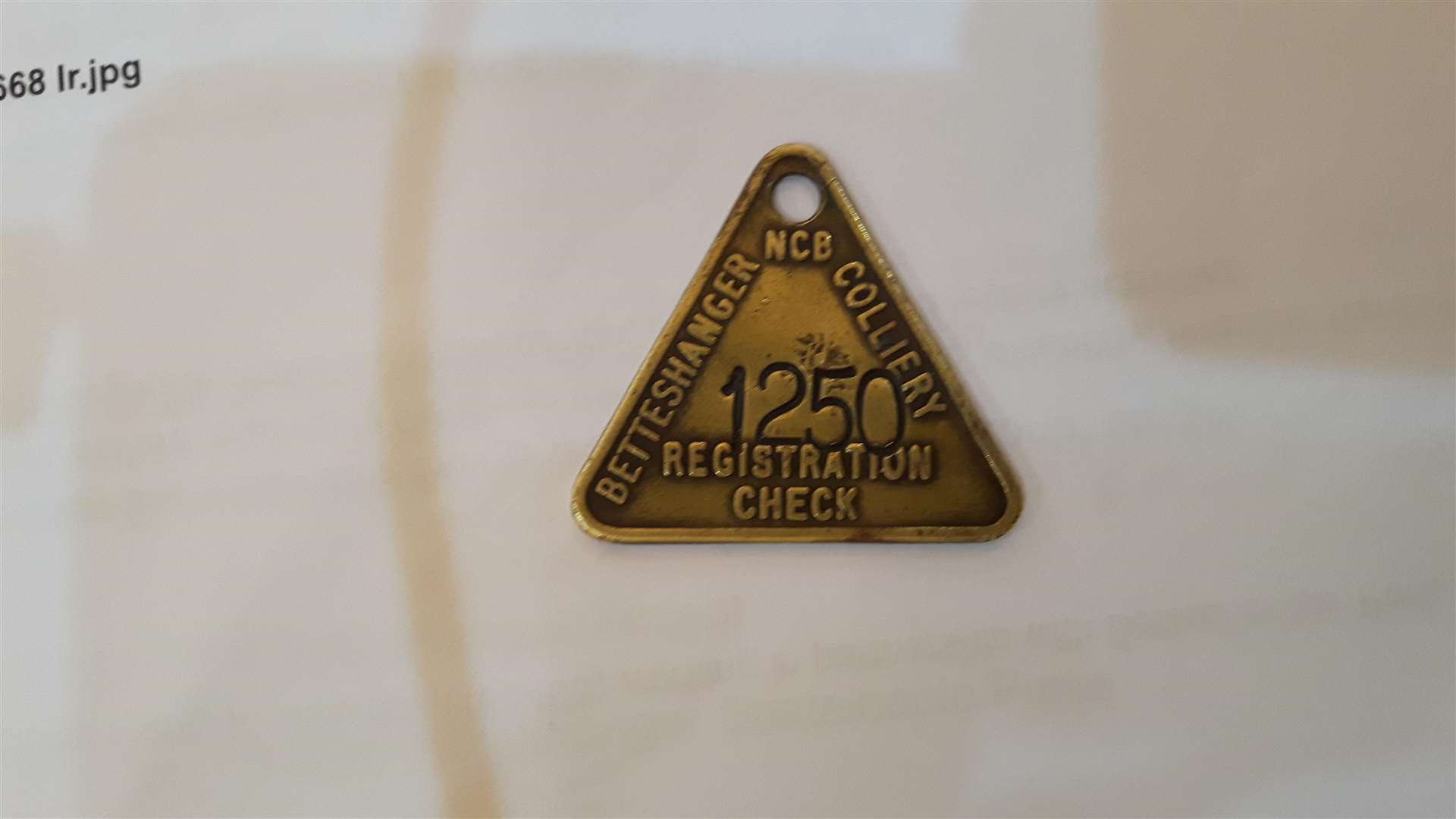 A miner's identification tag