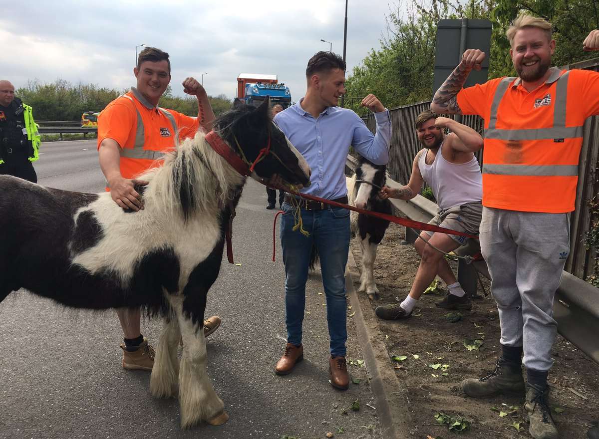 These lads came to help after horses escaped onto the A2. Picture: Kent Police Roads