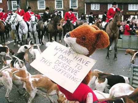 A toy fox symbolises the protestors' message at the meet at Elham. Picture: GERRY WARREN