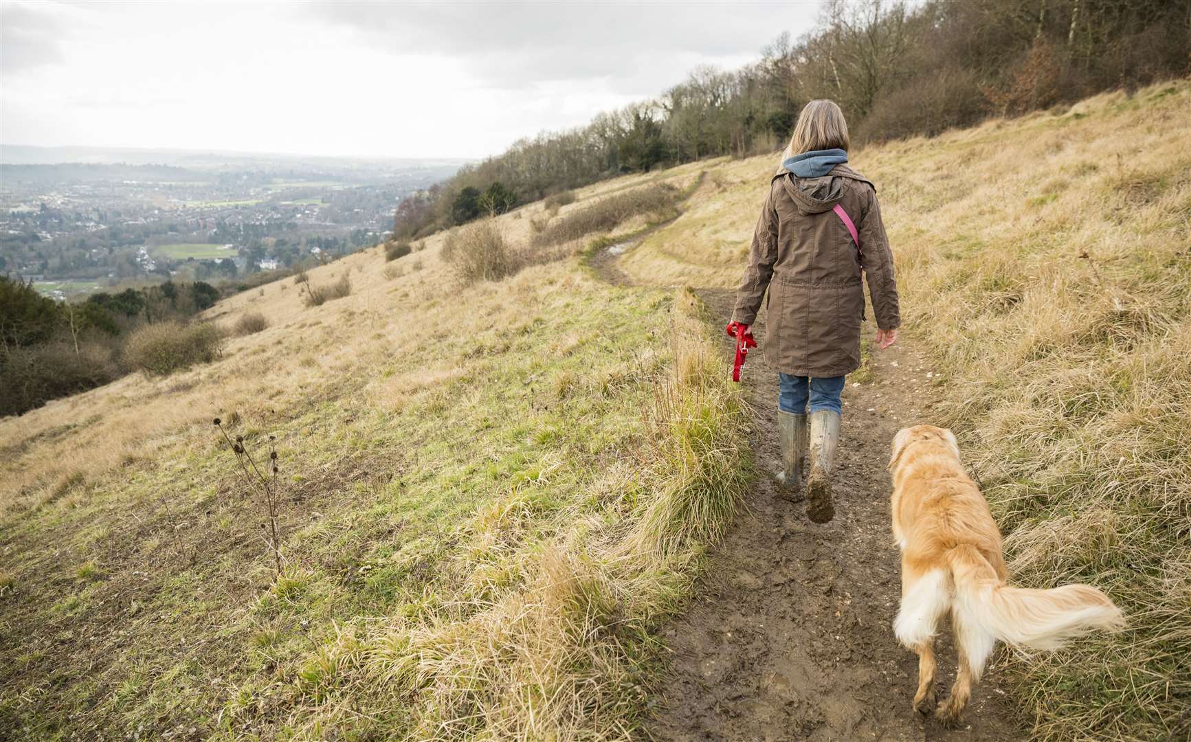 Walk your dog in a dog-friendly National Trust site Picture: National Trust/James Dobson