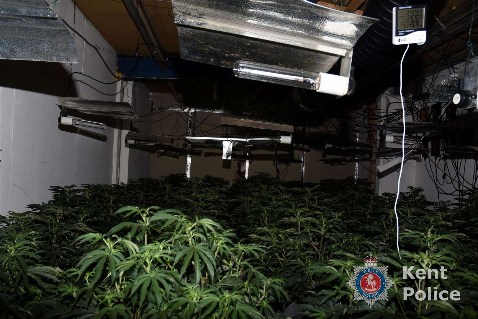 The cultivation was found in an industrial unit in Bethersden Road, Smarden