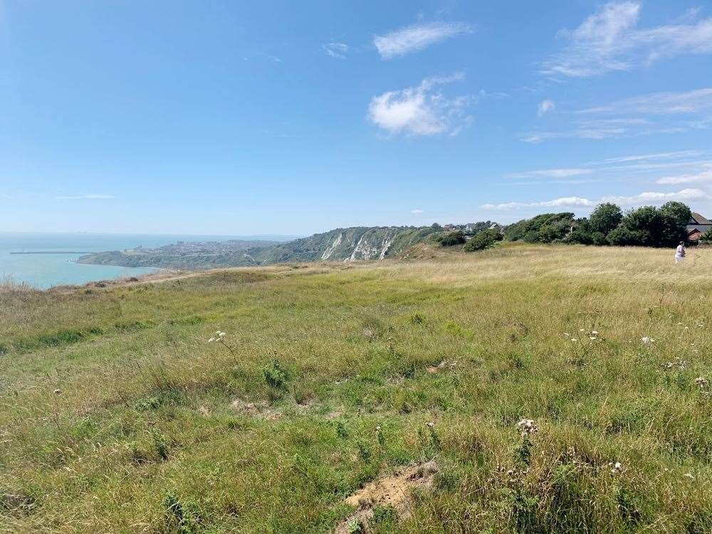 The land off Old Dover Road at Capel-le-Ferne is Lot 122 in September's auction