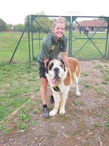 Canine carer and Boyce after facelift at the Dogs Trust, Canterbury