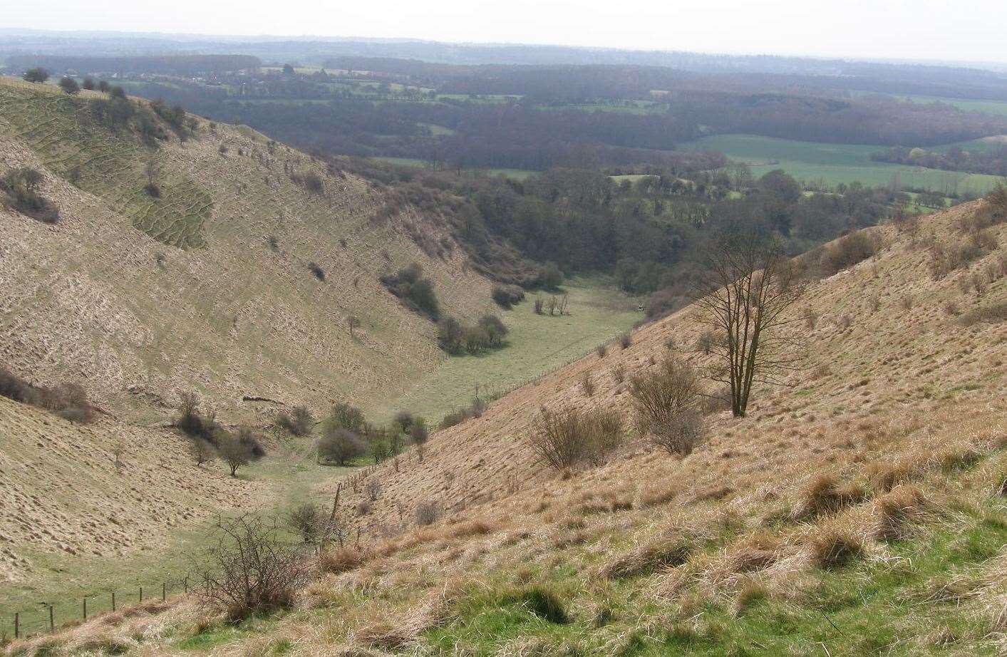 The North Downs Way incorporates parts of the route pilgrims in medieval times would have travelled on Picture: Phil Scrivener