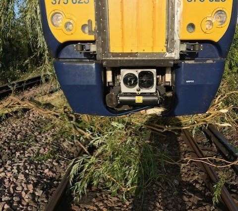 A tree fell on the line at Whitstable earlier today. Picture: Southeastern / Twitter