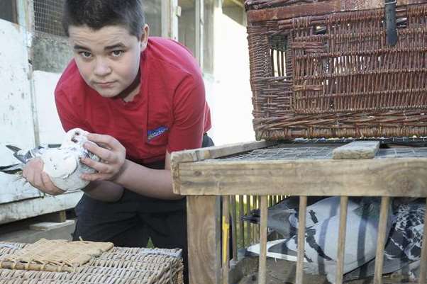 Reece Stone, 13, has been told he cannot keep his racing pigeons by Gravesham Borough Council