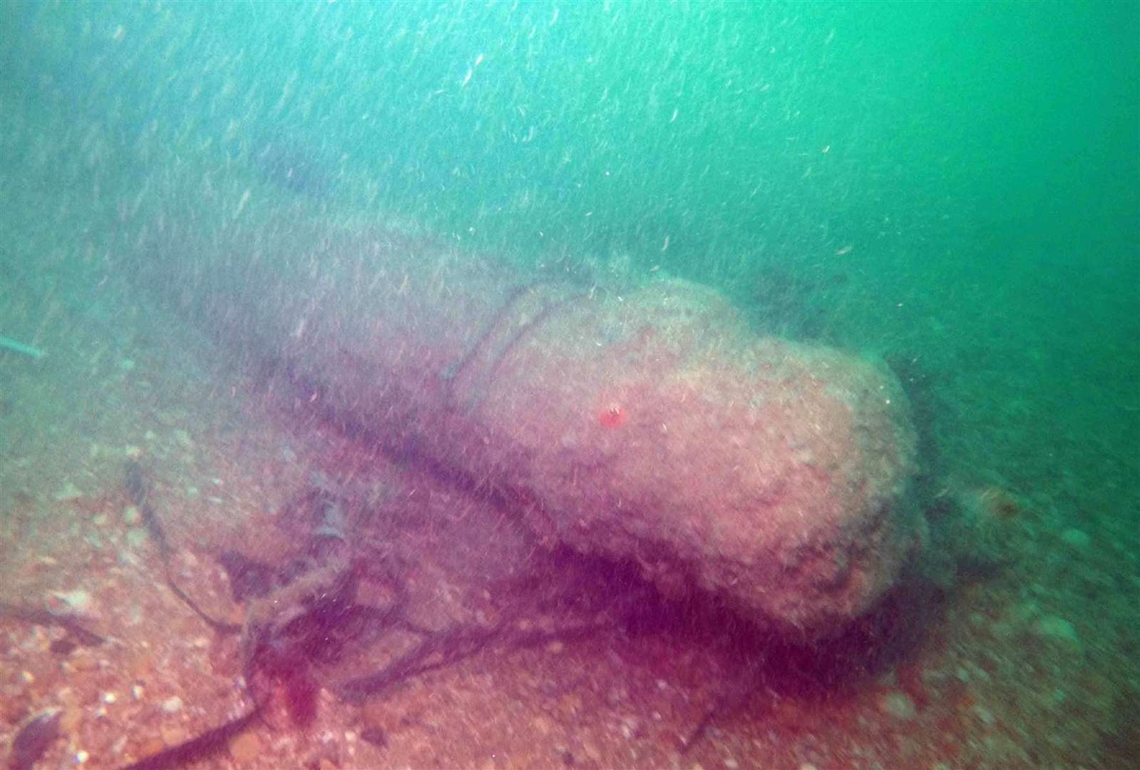 Cannon from HMS Restoration, which is on the 'at risk' list. Photo: Dr Doug McElvogue