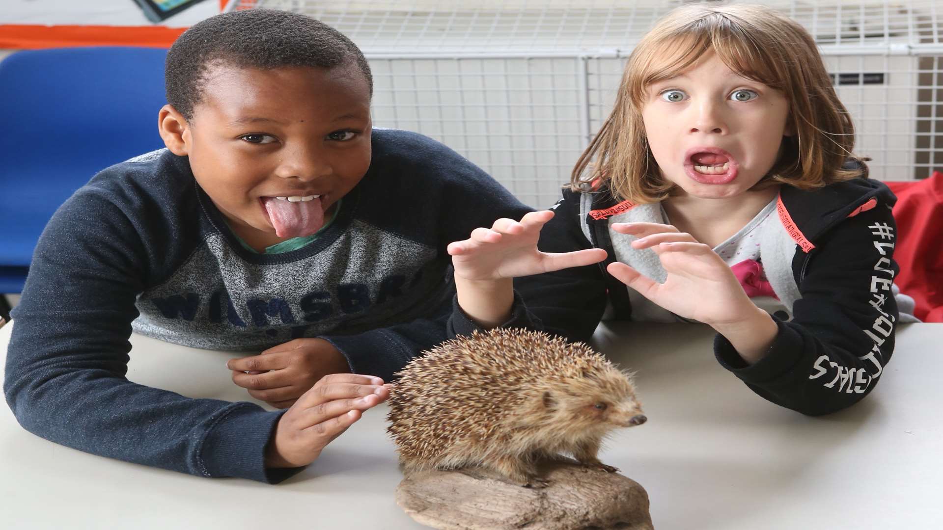 Kenye and Lucy, both eight, enjoy touching a stuffed hedgehog.