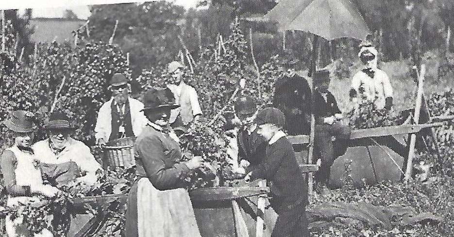 Hop-pickers in 1890