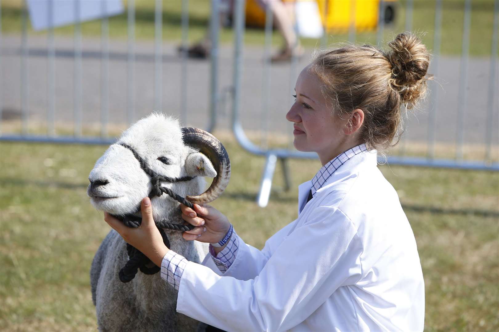 The Kent County Show has lots of activities for all ages Picture: Andy Jones