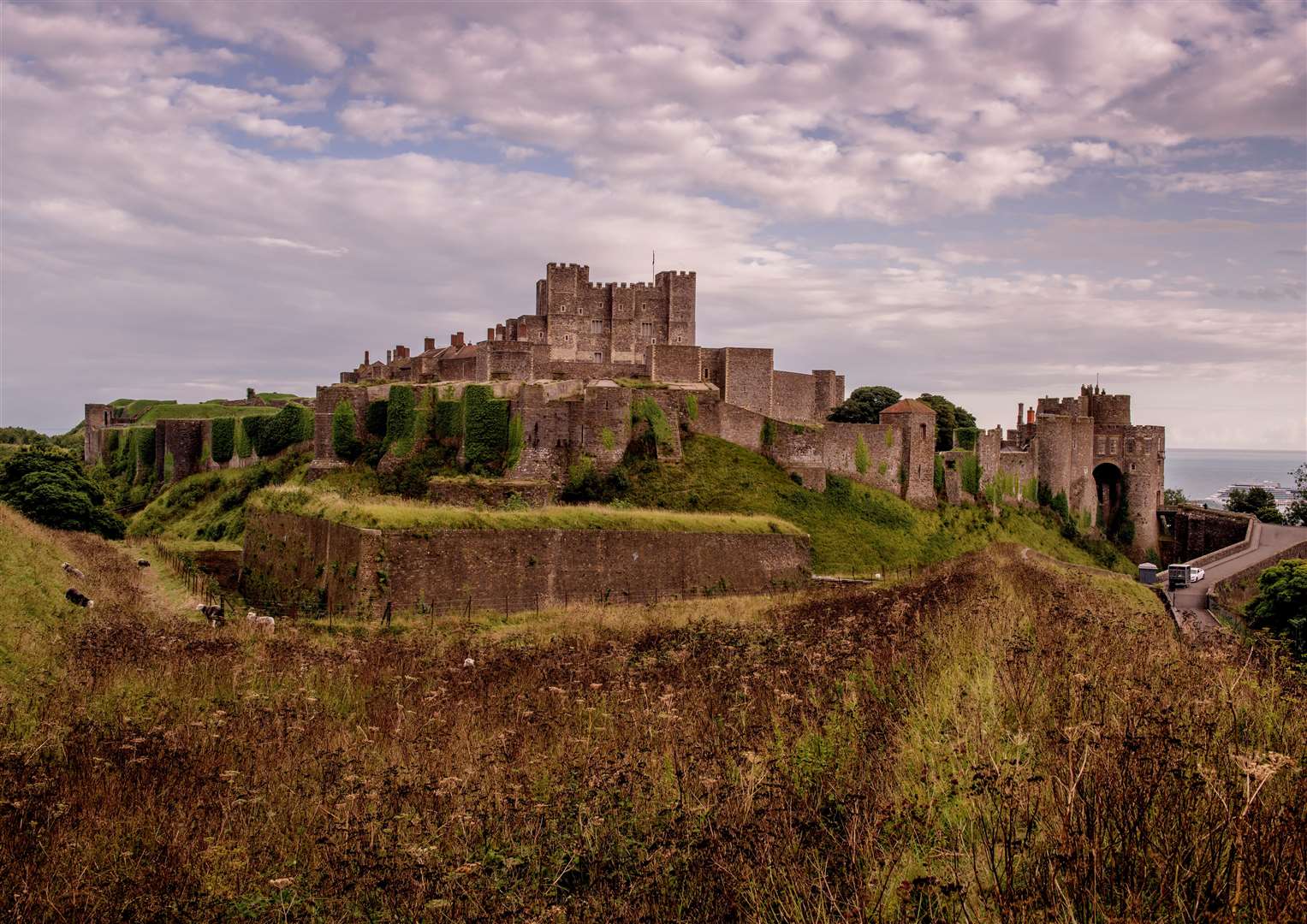 Dog owners can take a walk around the castle to raise money for animal charities. Picture: © English Heritage