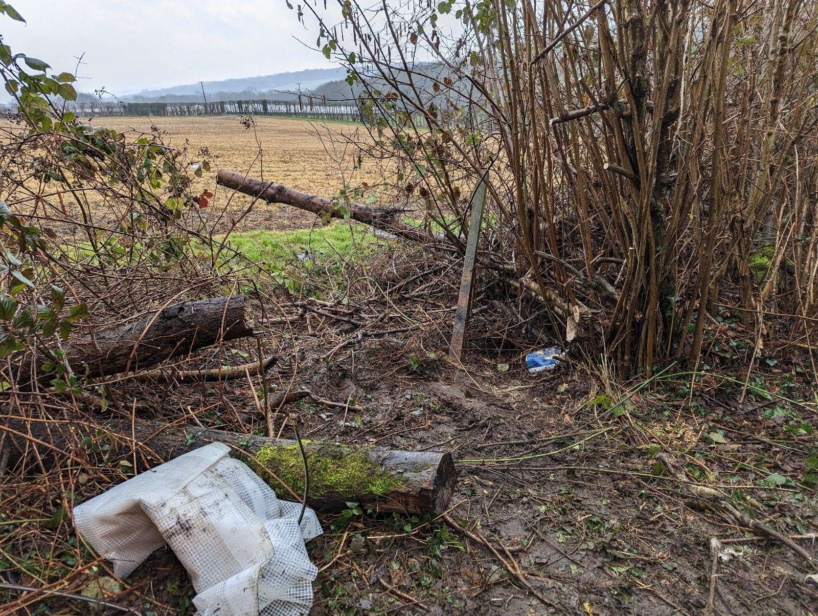 The area where the seriously ill animal was discovered. Picture: RSPCA